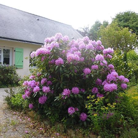 Bed and Breakfast Le Pre De La Lande La Chapelle-Sur-Erdre Zewnętrze zdjęcie